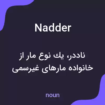 معنی nadder به فارسی