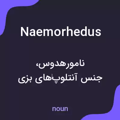 معنی naemorhedus به فارسی معنی naemorhedus به فارسی