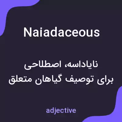 معنی naiadaceous به فارسی معنی naiadaceous به فارسی