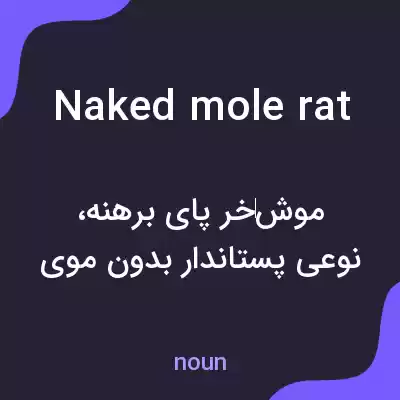 معنی naked mole rat به فارسی معنی naked mole rat به فارسی