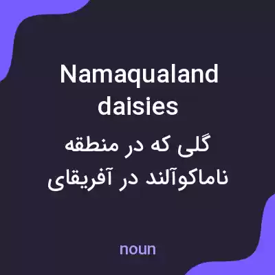معنی namaqualand daisies به فارسی معنی namaqualand daisies به فارسی