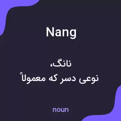 معنی nang به فارسی معنی nang به فارسی