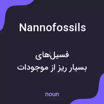 معنی nannofossils به فارسی معنی nannofossils به فارسی