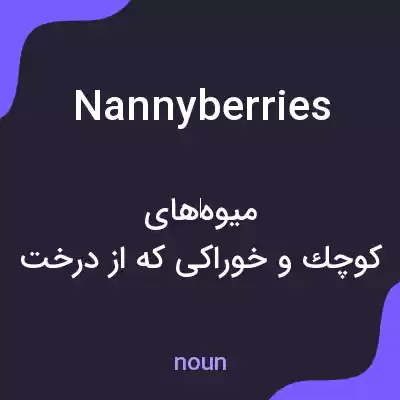 معنی nannyberries به فارسی معنی nannyberries به فارسی