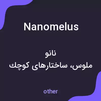 معنی nanomelus به فارسی معنی nanomelus به فارسی