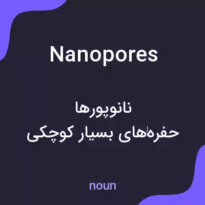 معنی nanopores به فارسی معنی nanopores به فارسی