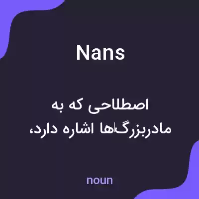 معنی nans به فارسی معنی nans به فارسی