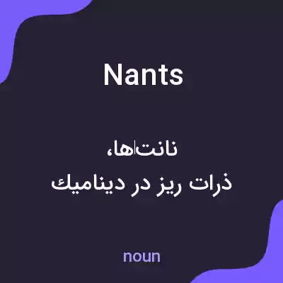 معنی nants به فارسی معنی nants به فارسی