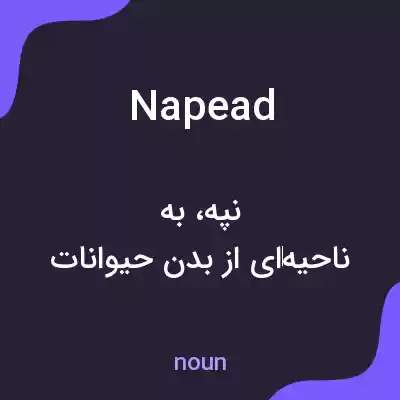 معنی napead به فارسی معنی napead به فارسی