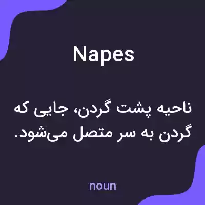 معنی napes به فارسی معنی napes به فارسی