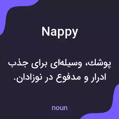 معنی nappy به فارسی