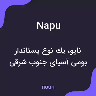 معنی napu به فارسی معنی napu به فارسی
