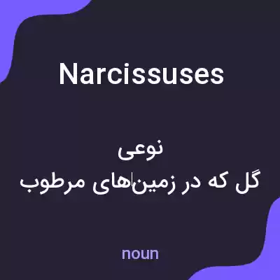 معنی narcissuses به فارسی معنی narcissuses به فارسی