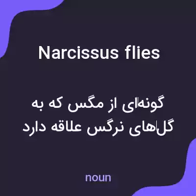 معنی narcissus flies به فارسی معنی narcissus flies به فارسی