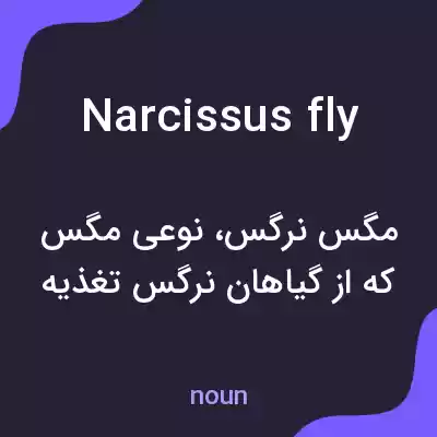 معنی narcissus fly به فارسی معنی narcissus fly به فارسی
