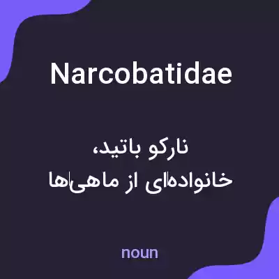 معنی narcobatidae به فارسی
