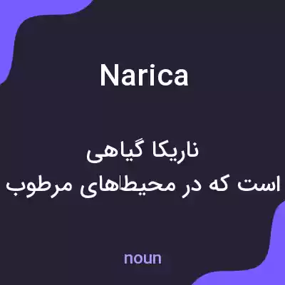 معنی narica به فارسی معنی narica به فارسی