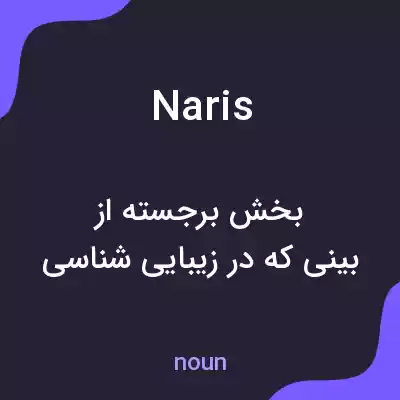 معنی naris به فارسی معنی naris به فارسی
