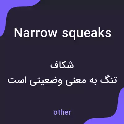 معنی narrow squeaks به فارسی معنی narrow squeaks به فارسی