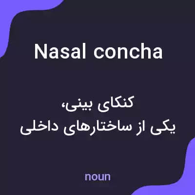 معنی nasal concha به فارسی معنی nasal concha به فارسی
