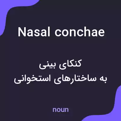 معنی nasal conchae به فارسی معنی nasal conchae به فارسی