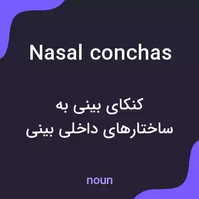معنی nasal conchas به فارسی معنی nasal conchas به فارسی