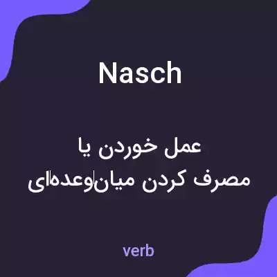 معنی nasch به فارسی معنی nasch به فارسی