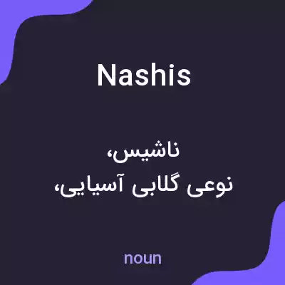 معنی nashis به فارسی معنی nashis به فارسی