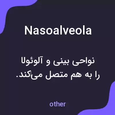 معنی nasoalveola به فارسی معنی nasoalveola به فارسی