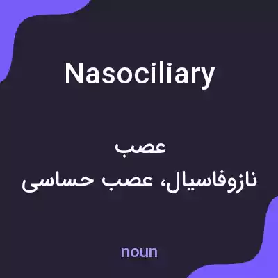 معنی nasociliary به فارسی معنی nasociliary به فارسی