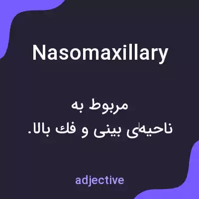 معنی nasomaxillary به فارسی معنی nasomaxillary به فارسی