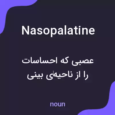 معنی nasopalatine به فارسی معنی nasopalatine به فارسی