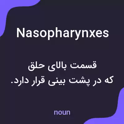 معنی nasopharynxes به فارسی معنی nasopharynxes به فارسی