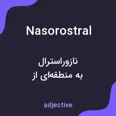 معنی nasorostral به فارسی معنی nasorostral به فارسی