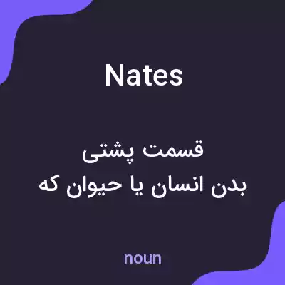 معنی nates به فارسی معنی nates به فارسی