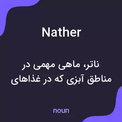معنی nather به فارسی معنی nather به فارسی
