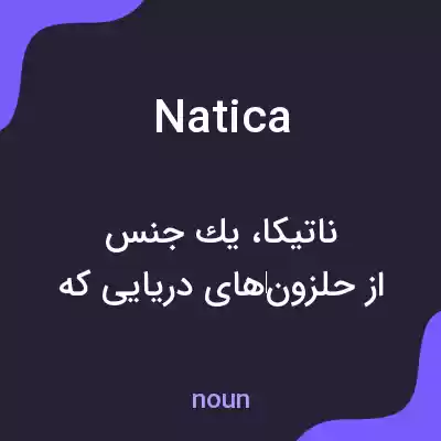 معنی natica به فارسی معنی natica به فارسی