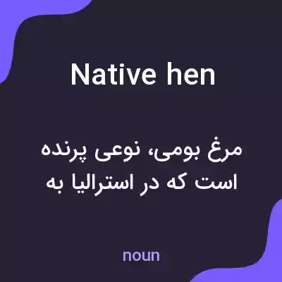 معنی native hen به فارسی