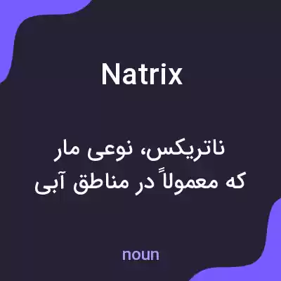 معنی natrix به فارسی معنی natrix به فارسی