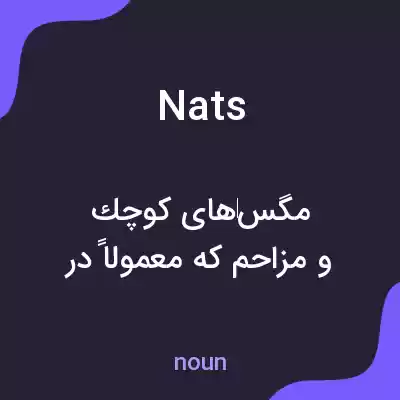 معنی nats به فارسی معنی nats به فارسی