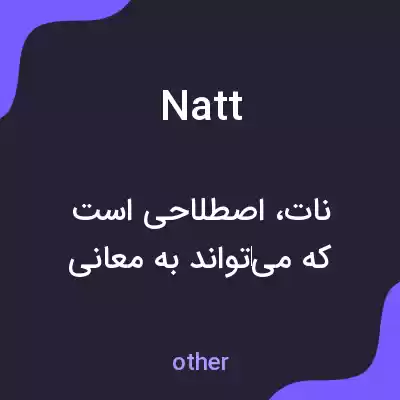 معنی natt به فارسی معنی natt به فارسی