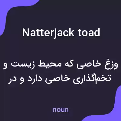 معنی natterjack toad به فارسی معنی natterjack toad به فارسی