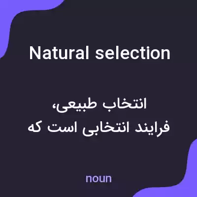معنی natural selection به فارسی معنی natural selection به فارسی