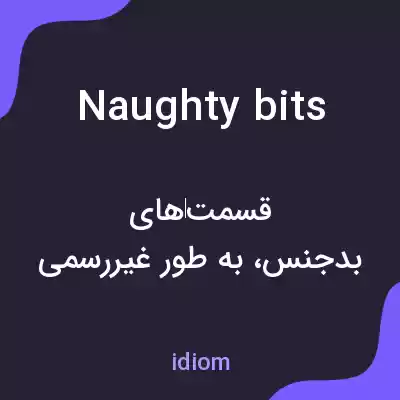 معنی naughty bits به فارسی معنی naughty bits به فارسی