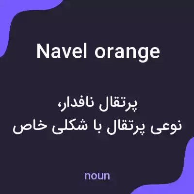 معنی navel orange به فارسی معنی navel orange به فارسی