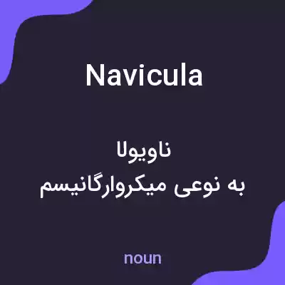 معنی navicula به فارسی معنی navicula به فارسی