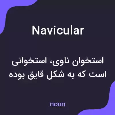 معنی navicular به فارسی معنی navicular به فارسی