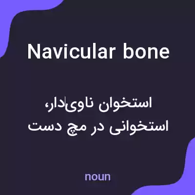 معنی navicular bone به فارسی معنی navicular bone به فارسی