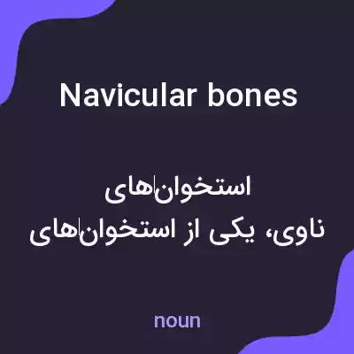 معنی navicular bones به فارسی معنی navicular bones به فارسی