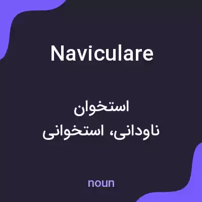 معنی naviculare به فارسی معنی naviculare به فارسی
